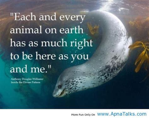 33 best Animal Quotes and Visuals images on Pinterest | Animal quotes, Animal rights and Vegan life