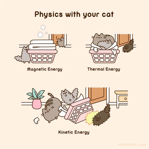 Pusheen : Physics with Your Cat - Pusheen