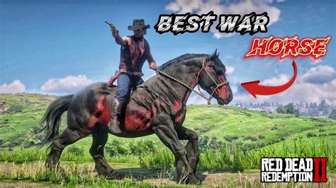 The best war horse for Arthur Morgan - RDR2 - YouTube