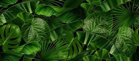 Details 100 3d jungle background - Abzlocal.mx