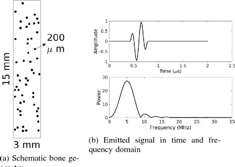 Figure 1 from Ultrasonic attenuation spectroscopy and dispersion characteristics in cortical ...