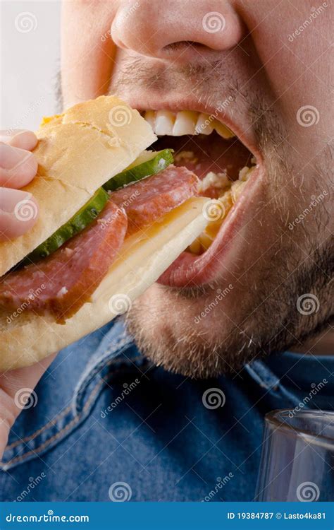 Glutton stock image. Image of sandwich, nutrition, meal - 19384787