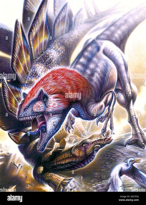 Allosaurus vs. Stegosaurus Stock Photo - Alamy