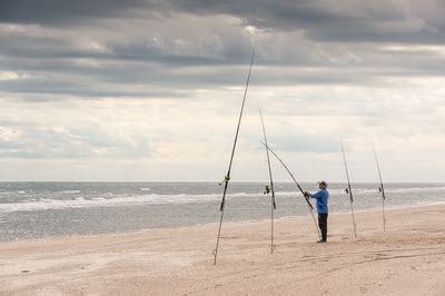 Image of Padre Island National Seashore | 1035132