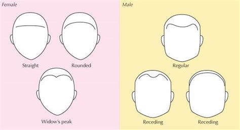 The Different Types of Hairlines for Men & Women – DS Healthcare Group