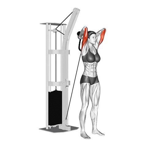 Why You Should Prioritize Cable Tricep Extensions in Your Arm Workout ...