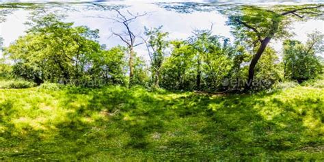 HDRI Exterior Environment Map: Forest Scene | Environment map, Exterior ...