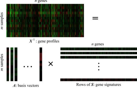 Exploring matrix factorization techniques for significant genes identification of Alzheimer’s ...