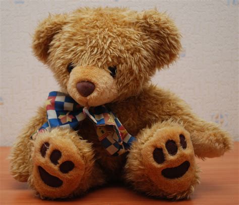 File:Teddy Bear 90 flash.jpg - Wikimedia Commons