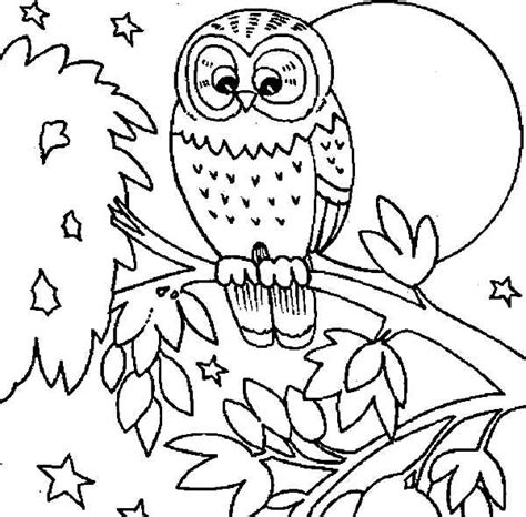 Cute Owl Printable Coloring Pages