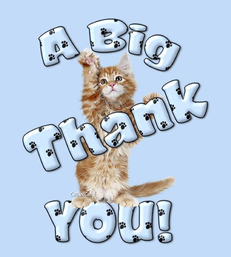 A Big Thank You! -- Kitten :: Thank You :: MyNiceProfile.com