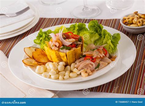 Ceviche Panama stock image. Image of dinner, panama, close - 73688457