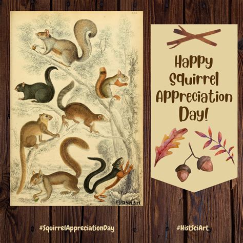 Happy Squirrel Appreciation Day! | Historical SciArt