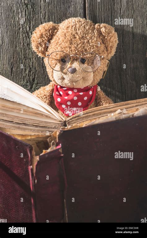 Anthropomorphic teddy bear hi-res stock photography and images - Alamy