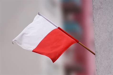 Polish flag,independence,independence day,nationality,flag - free image ...