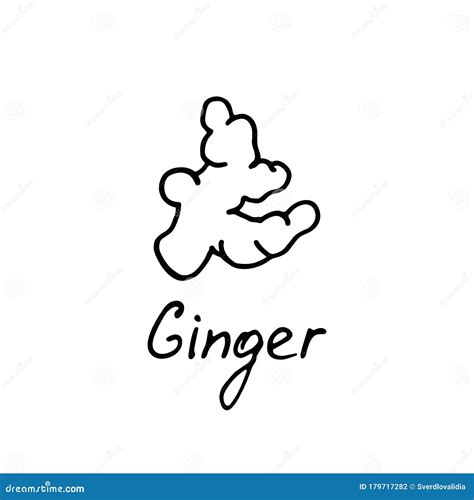 Ginger Logo. Vector Illustration with Hand Drawn Ginger Stock Vector - Illustration of medicine ...