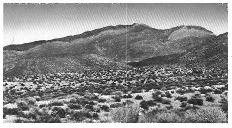 Figure 2 from Fossils from the Ordovician bioherm at Meiklejohn Peak, Nevada | Semantic Scholar