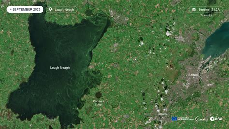 Algae bloom in Lough Neagh | Copernicus Data Space Ecosystem