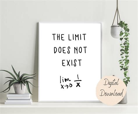 The Limit Does Not Exist Math Poster Math Classroom math Teacher ...