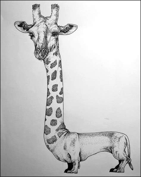 Hybrid Animals Drawings