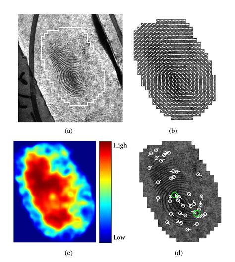 Scientists Automate Key Step in Forensic Fingerprint Analysis | NIST