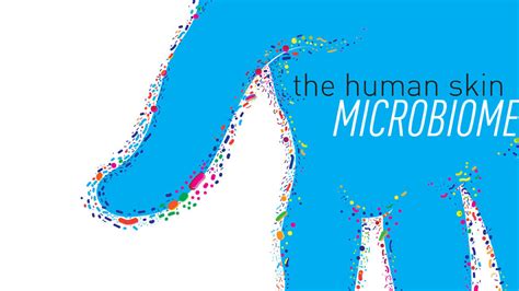 Human Skin Microbiome