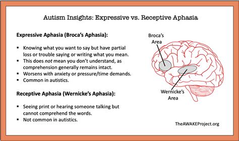 Aphasia: Types, Causes, Symptoms Treatment, 58% OFF