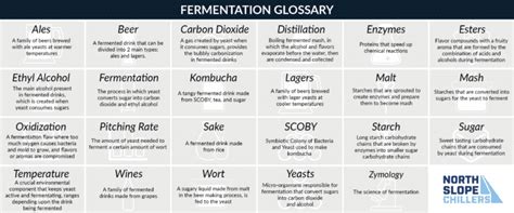 Types of Fermentation in Brewing and Distilling