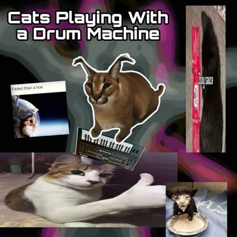 Stream Phat Cat | Listen to Cats Playing with Drum Machines playlist online for free on SoundCloud