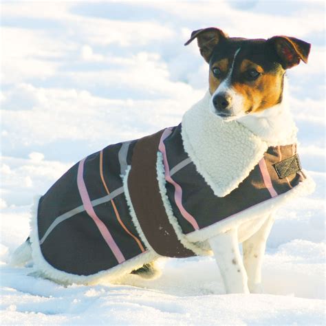 Fleece Lined Winter Dog Coats - Tradingbasis