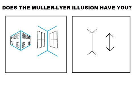 Muller Lyer Illusion Image / Muller Lyer Illusion Practical Solved Youtube : Like most visual ...