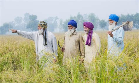 Punjab is usually blamed for burning paddy stubble; here is the back ...