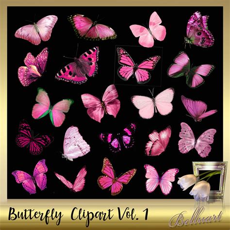 20 Butterflies Clip Art Vol. 1 Butterfly Overlays Real - Etsy