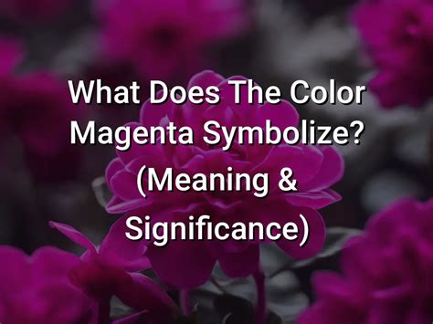 What Does The Color Magenta Symbolize (Meaning Significance) - Symbol Genie