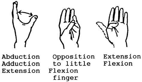 2.06 Range of Motion | Basic Patient Care Procedures