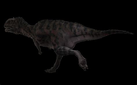 Majungasaurus Pictures & Facts - The Dinosaur Database