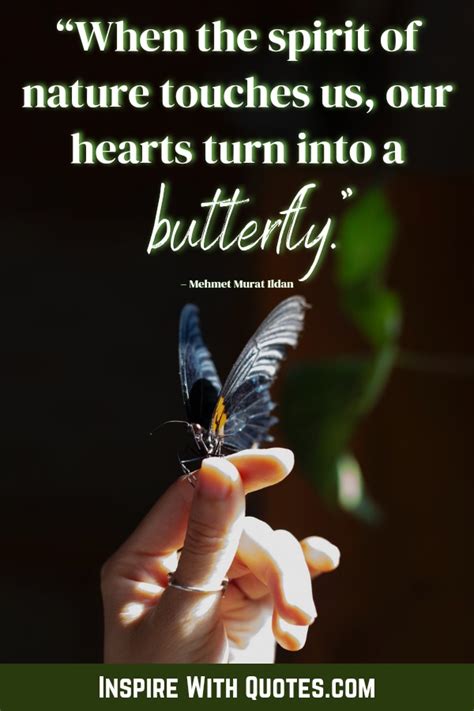 35+ Short Butterfly Quotes that you'll absolutely love - Inspire with Quotes