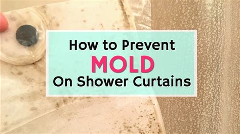 How To Prevent Mold On A Shower Curtain Cleaning Hacks You