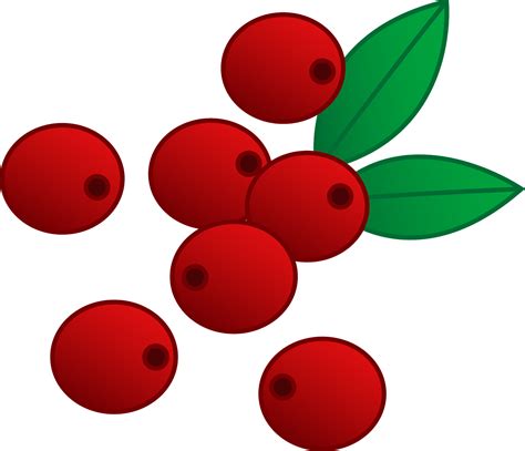 Lingonberry clipart 20 free Cliparts | Download images on Clipground 2019