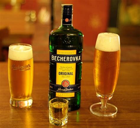 Koktajle z Becherovka - 12 prostych receptur dla domu - Artykuły 2024