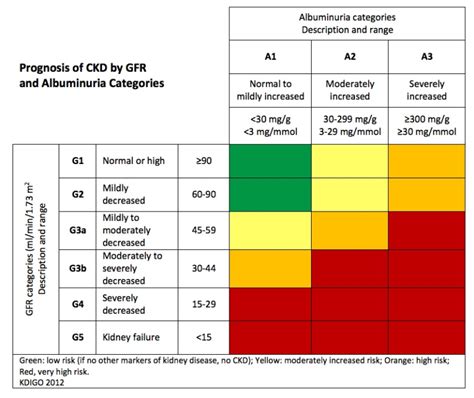 Protein Diet Guide for Chronic Kidney Disease - Cukebook.org