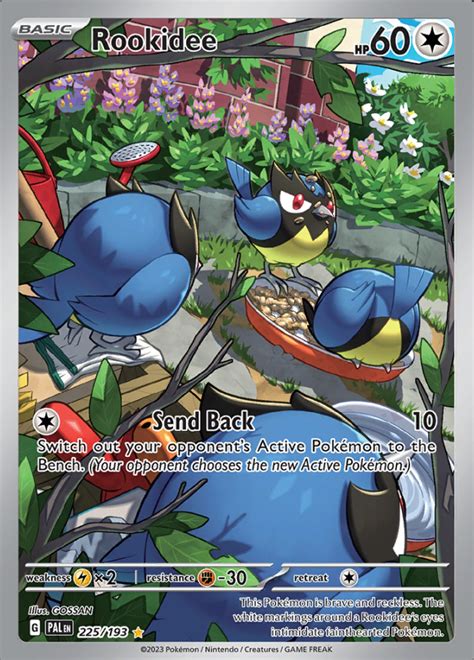 Rookidee - Paldea Evolved - Illustration Rare - Pokemon TCG - DigitalTQ