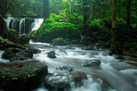 5 Agumbe Waterfall Images, Stock Photos, 3D objects, & Vectors ...