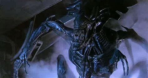 Mucho más que cine: Alien Vs. Predator