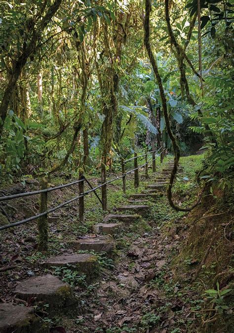 Rio Java forest trail | Independent Travels Far and Wide