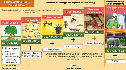 Jainism - Wikipedia