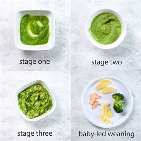 Guide to Baby Food Stages (Purees and BLW) - Baby Foode | Baby food ...