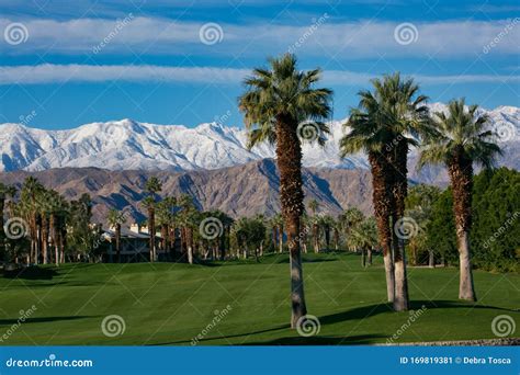 Palm Desert Desert Springs Golf Course Mountains Snow Capped Palm Trees ...