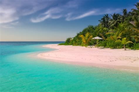 Exploring The Prettiest Pink Sand Beaches In The Caribbean