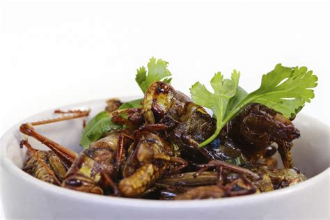 Entomophagy: Can you swallow this food trend? - Canadian Running Magazine